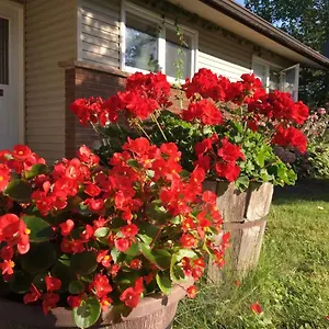 Graham Homestay Homestay Ottawa